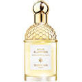 Guerlain Aqua Allegoria Bergamote Calabria Eau de Toilette