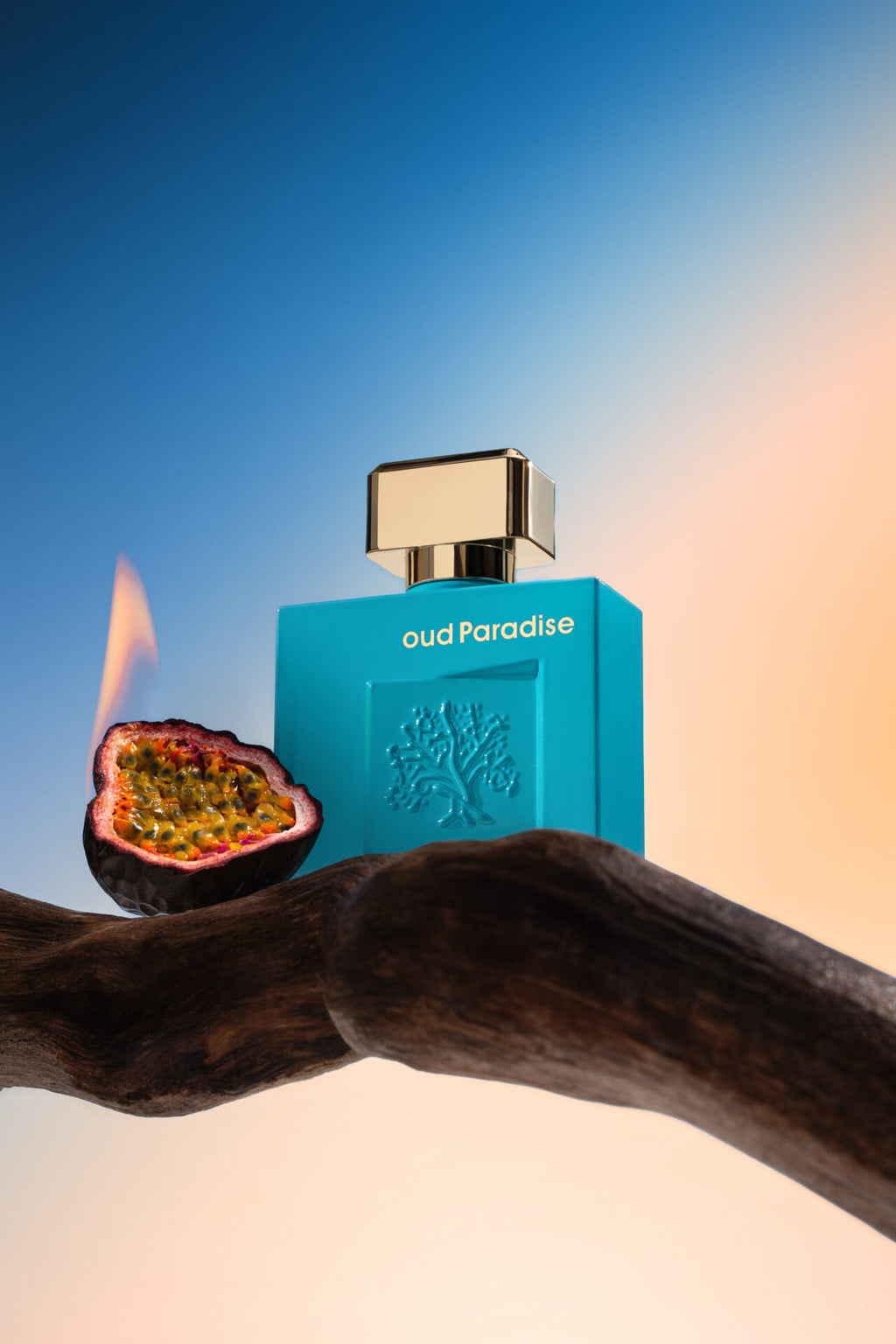 Franck Olivier Oud Paradise Eau de Parfum