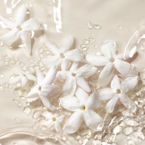 Armani Privé Blanc Kogane Eau de Parfum