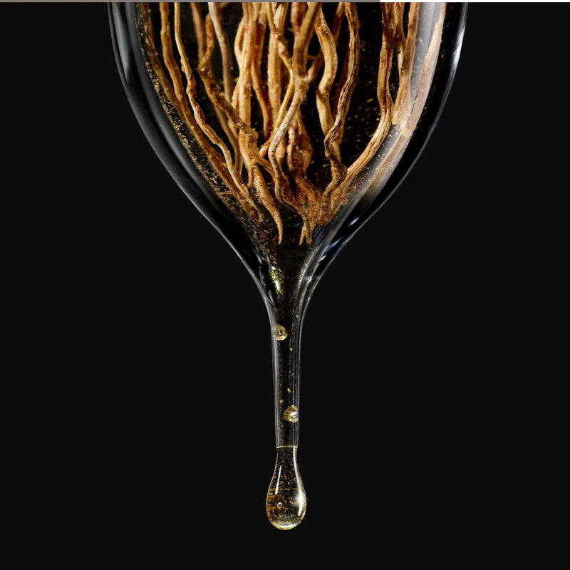 Armani Privé Noir Kogane Eau de Parfum