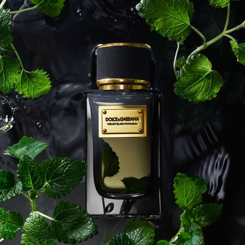 Dolce & Gabbana Velvet Black Patchouli Eau de Parfum