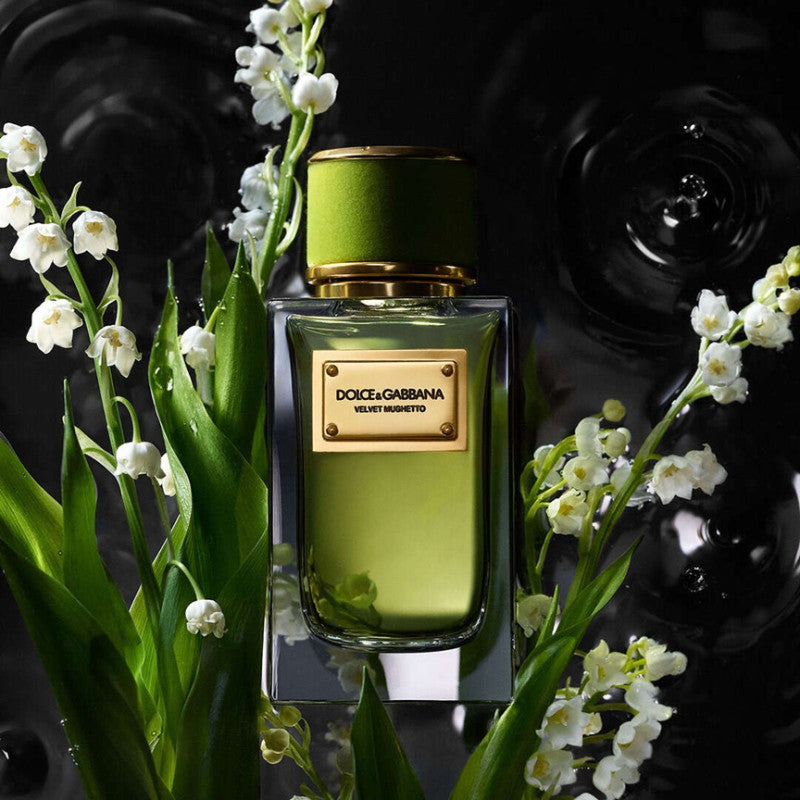 Dolce & Gabbana Velvet Mughetto Eau de Parfum
