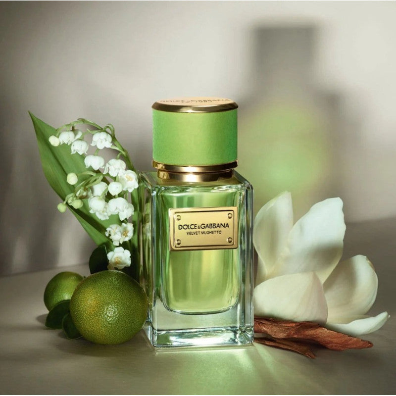 Dolce & Gabbana Velvet Mughetto Eau de Parfum
