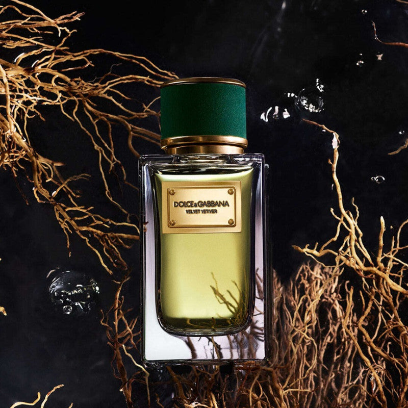 Dolce & Gabbana Velvet Vetiver Eau de Parfum
